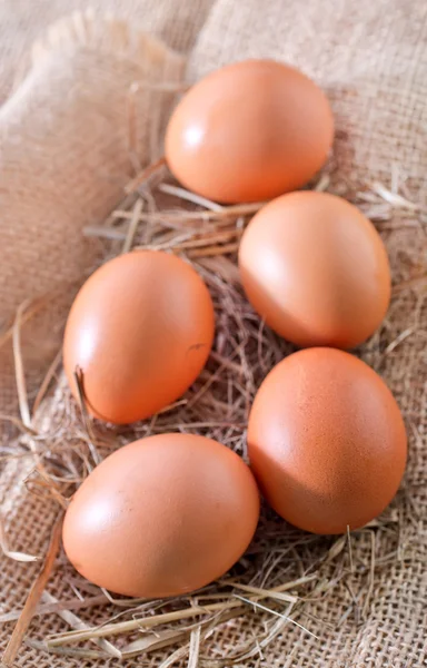 Chicken eggs — Stock Photo, Image