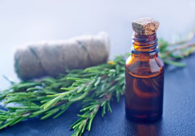 Yeşil biberiye dalı