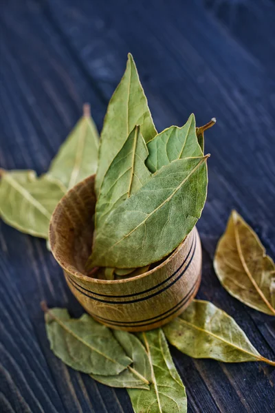 Hojas de laurel — Foto de Stock