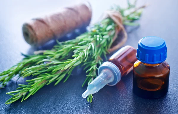 Green rosemary branch — Stock Photo, Image