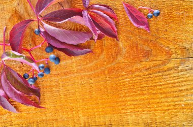 Sonbahar Yaprakları