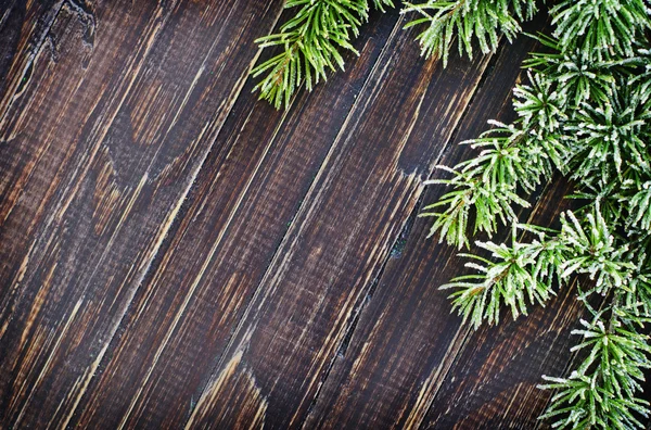 Dřevěné pozadí s větví borovice — Stock fotografie