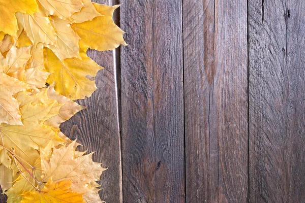 Ahornblätter auf Holzgrund — Stockfoto