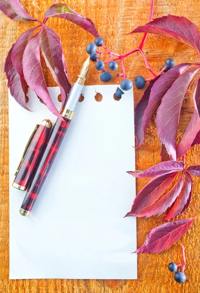 Σημειωματάριο και Φθινοπωρινά φύλλα — Φωτογραφία Αρχείου