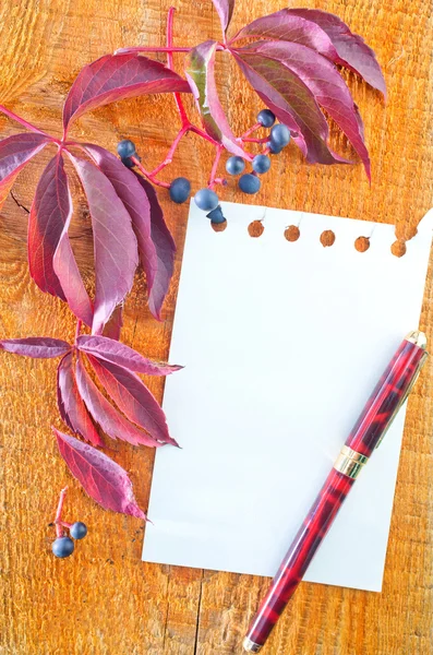 Notepad and autumn leaves — Stock Photo, Image