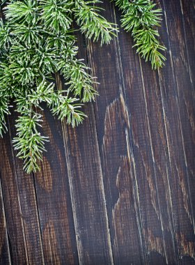 Ahşap arka plan ile çam dalı