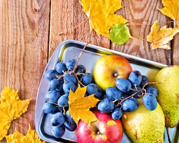 Autumn harvest on the metal tray — Stock Photo, Image