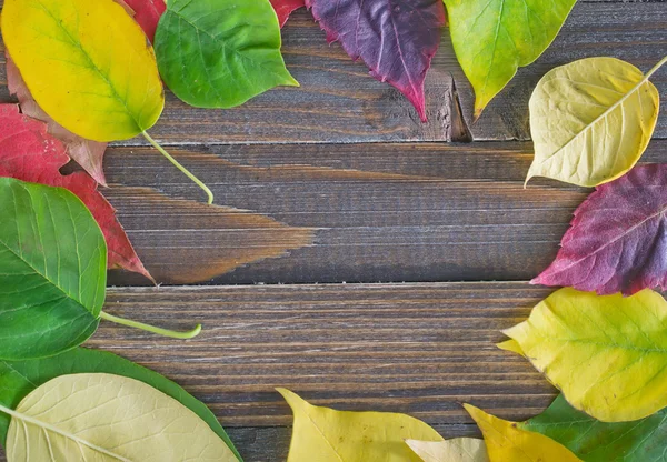 Leaves on wooden background — Stock Photo, Image