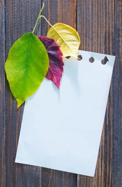 Yellow leaves and notepad — Stock Photo, Image