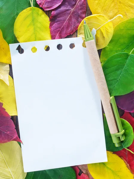 Yellow leaves and notepad — Stock Photo, Image