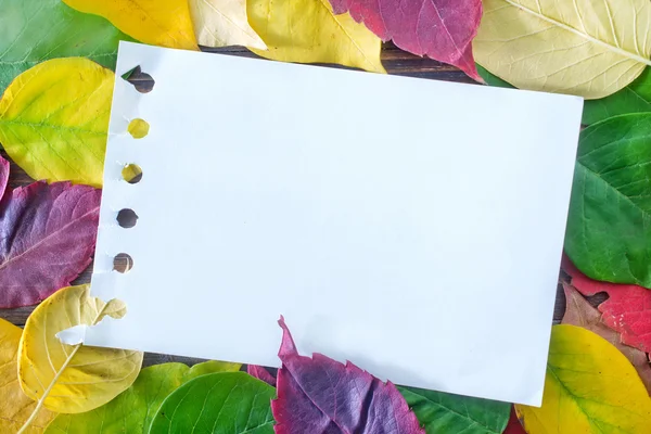 Yellow leaves and notepad — Stock Photo, Image