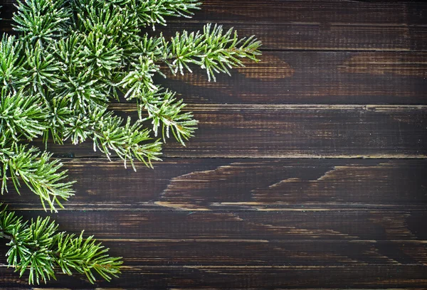 Fondo de madera con rama de pino — Foto de Stock