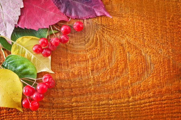 Autumn background — Stock Photo, Image