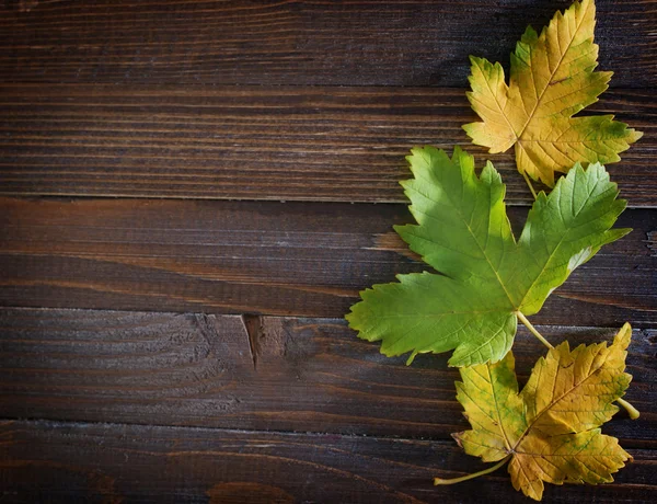 Hintergrund Herbst — Stockfoto