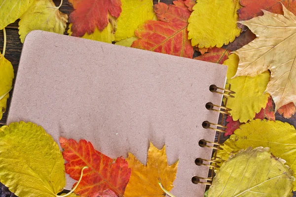 Hojas de otoño y bloc de notas — Foto de Stock