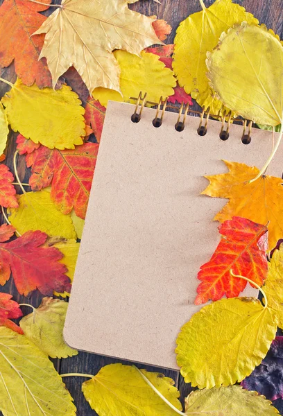 Hojas de otoño y bloc de notas —  Fotos de Stock
