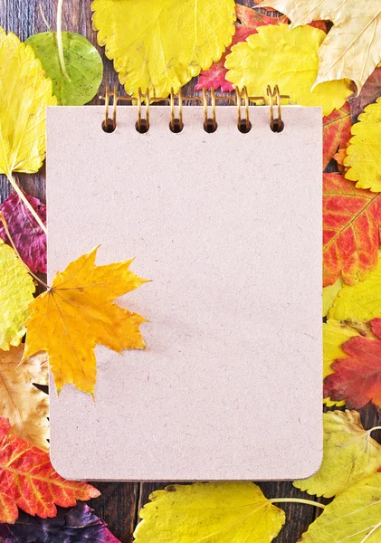 Autumn leaves and notepad — Stock Photo, Image