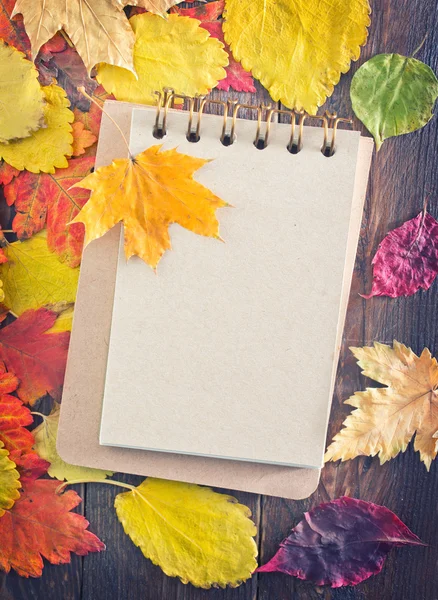 Autumn leaves and notepad — Stock Photo, Image