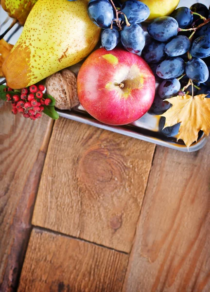 Autumn harvest — Stock Photo, Image