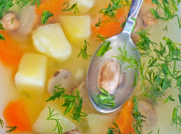 Fresh mushroom soup — Stock Image Fresh mushroom soup Stock Photo
