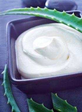 Aloe Vera losyonu kutusu