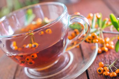 taze çay