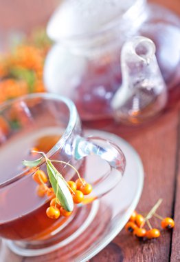 taze çay