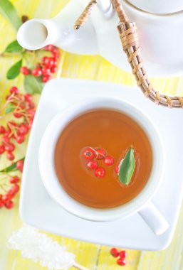 taze çay
