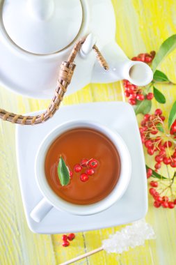 taze çay