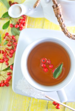 taze çay