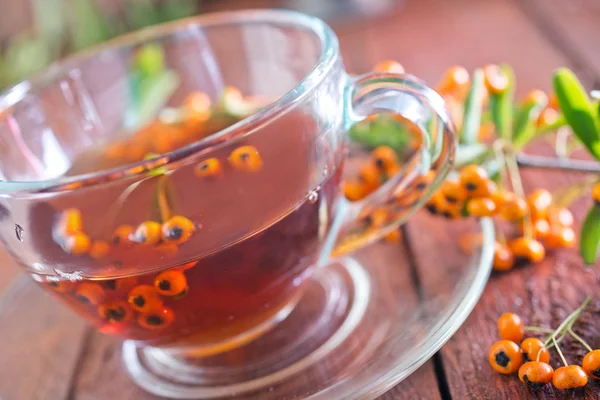 Fresh tea — Stock Photo, Image