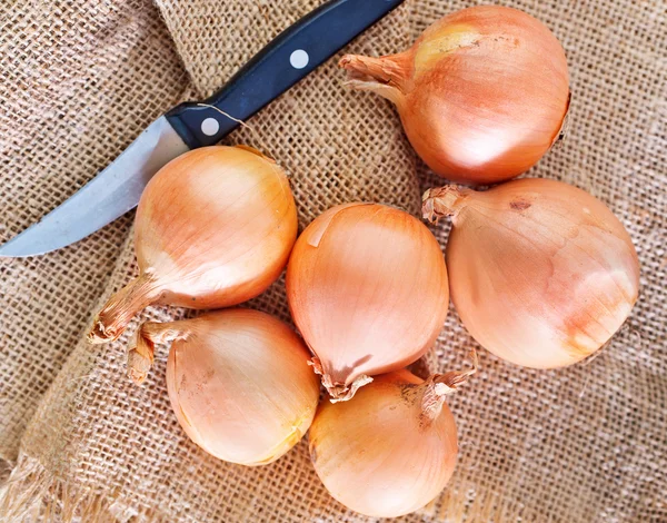 Cebolla cruda — Foto de Stock