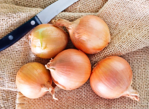 Cebola crua — Fotografia de Stock