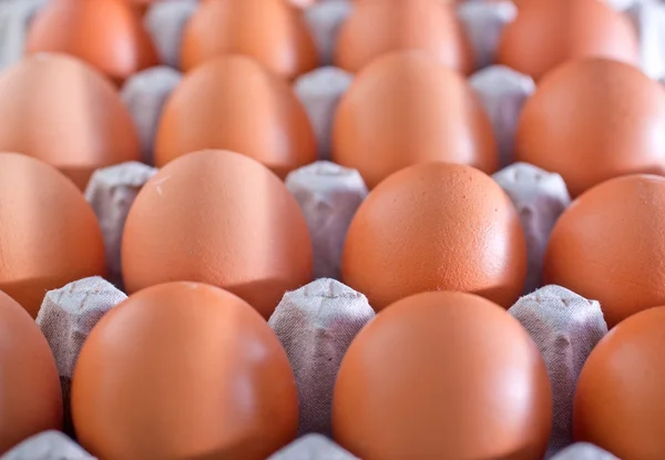 Raw eggs — Stock Photo, Image