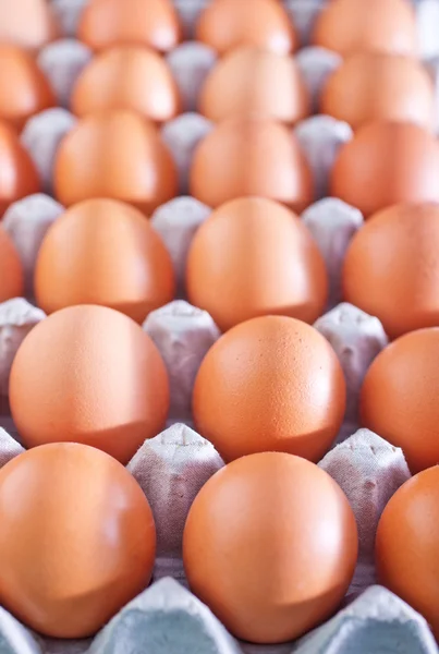 Raw eggs — Stock Photo, Image