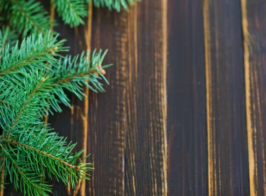 Noel ağacının dalını