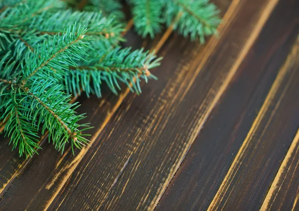 Branch of christmas tree — Stock Photo, Image