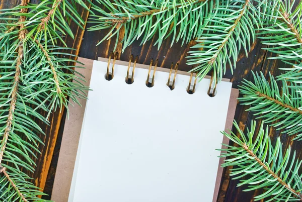Note and brunch of christmas tree — Stock Photo, Image