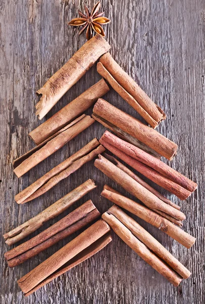 Aromatic spice, cinnamon — Stock Photo, Image