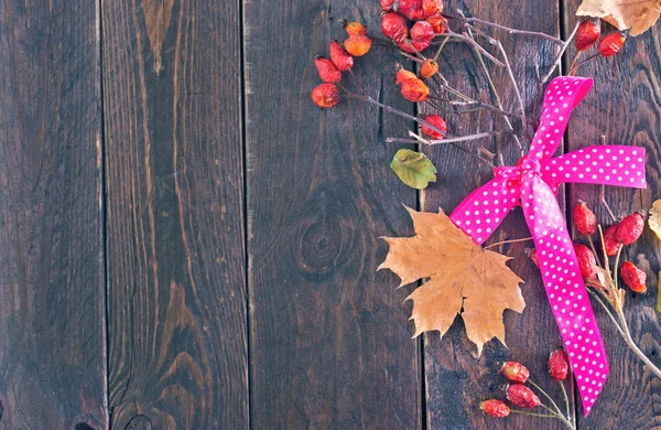 Leafs, shears and ribbon — Stock Photo, Image