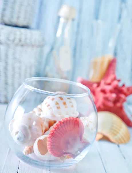 Coquilles de mer dans un bol en verre — Photo