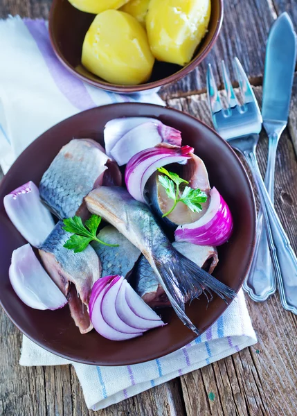 Aringa con cipolla in ciotola — Foto Stock