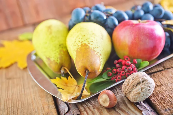 Autumn harvest — Stock Photo, Image