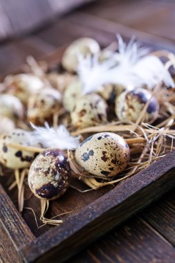 çiğ bıldırcın yumurtası