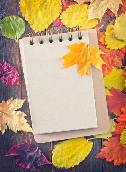 Autumn leaves and notepad — Stock Photo, Image