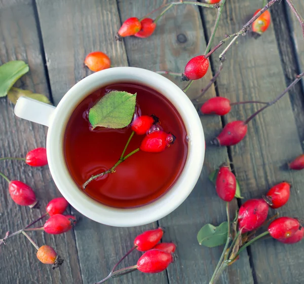 Fresh tea with rosehip — Stock Photo, Image