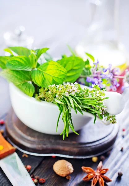 Herb and aroma spice — Stock Photo, Image