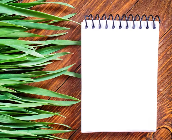 Hierbas primaverales y cuaderno —  Fotos de Stock