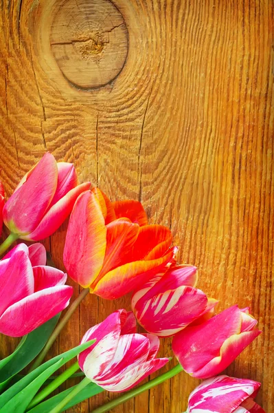 Bahar çiçekleri ahşap tablo — Stok fotoğraf