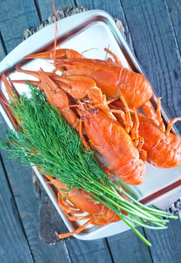 Haşlanmış kanser metal tepsi